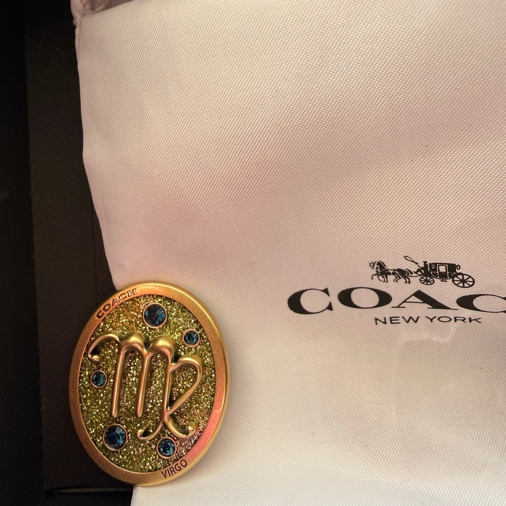 Coach Virgo Zodiac create pin